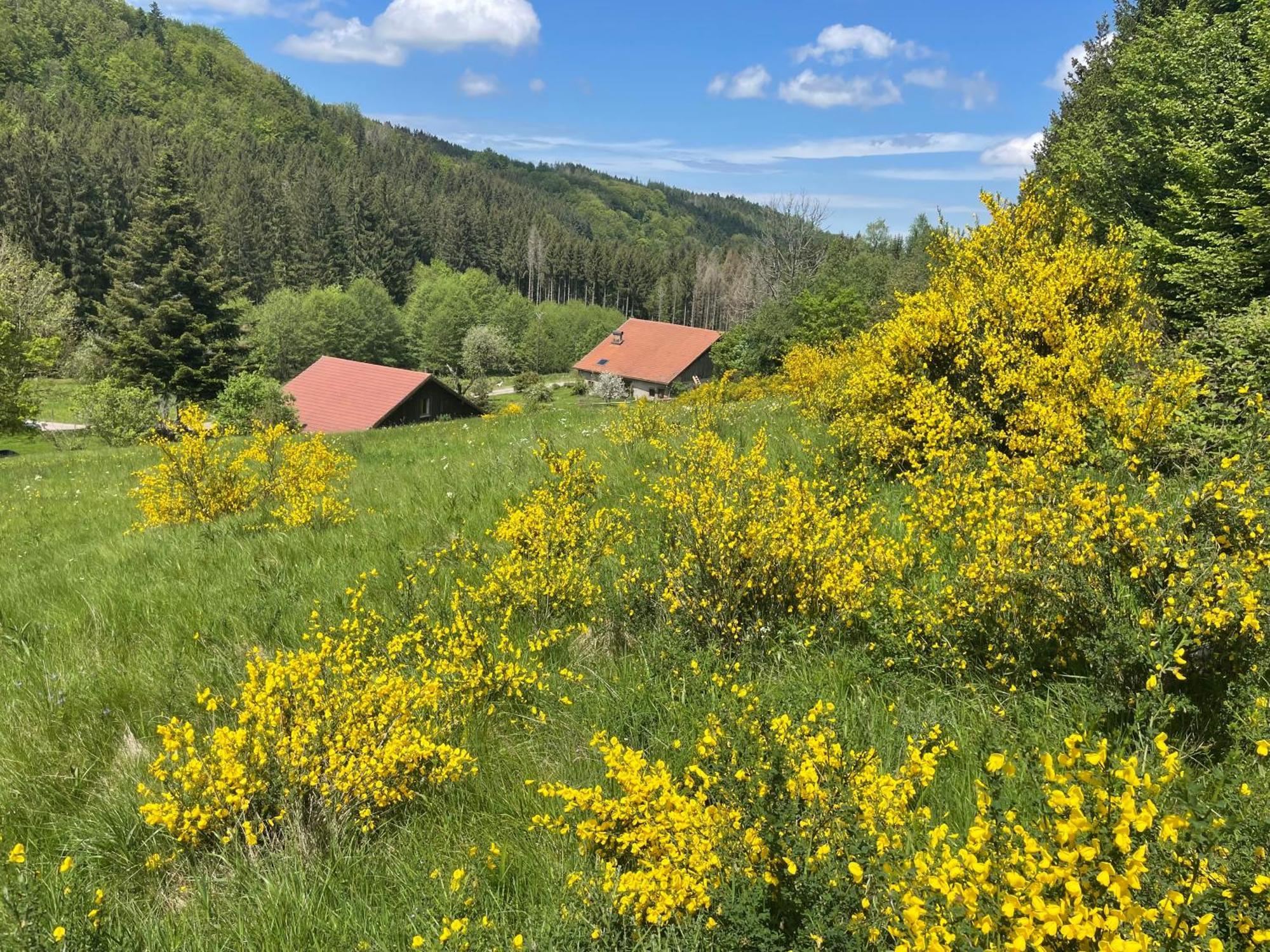 Вілла La Hutte Tendon Екстер'єр фото