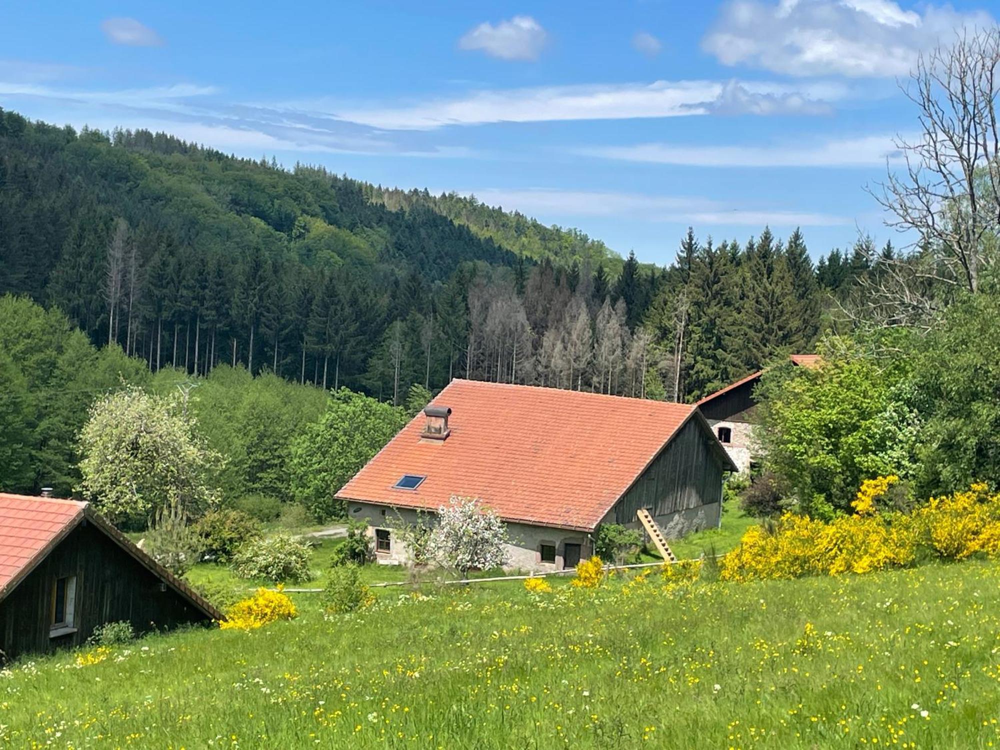 Вілла La Hutte Tendon Екстер'єр фото